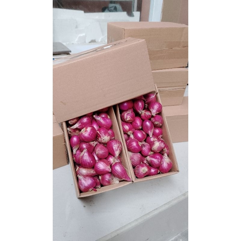

Bawang merah super asli berebes 1kg