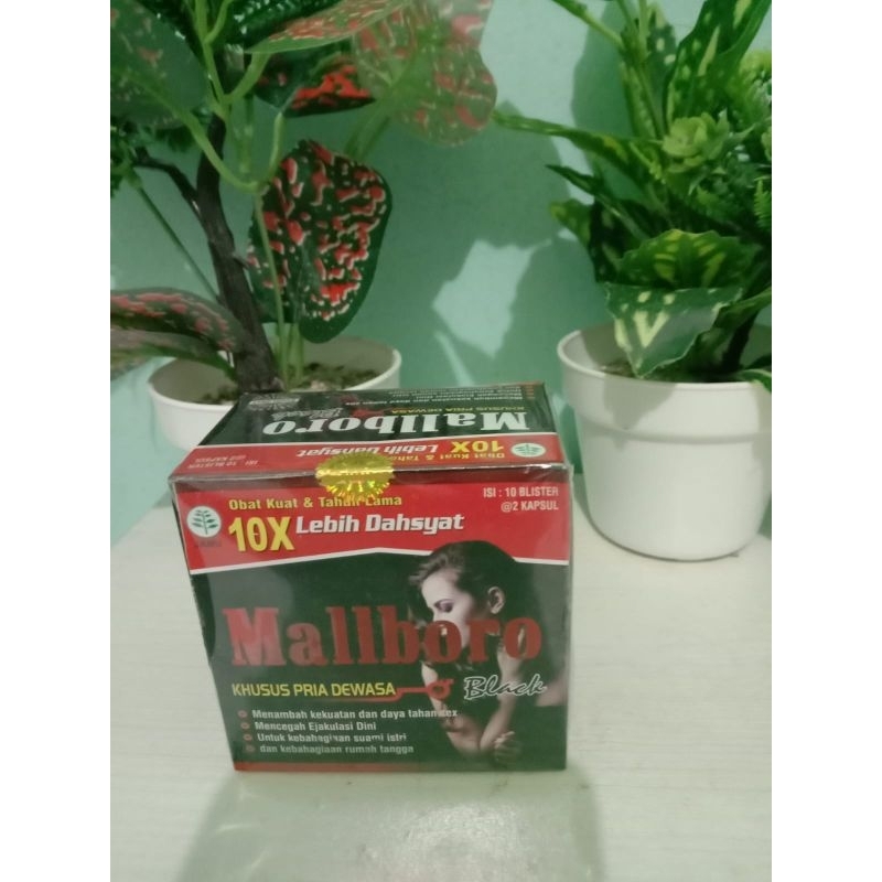 obat kuat malboro garansi termurah