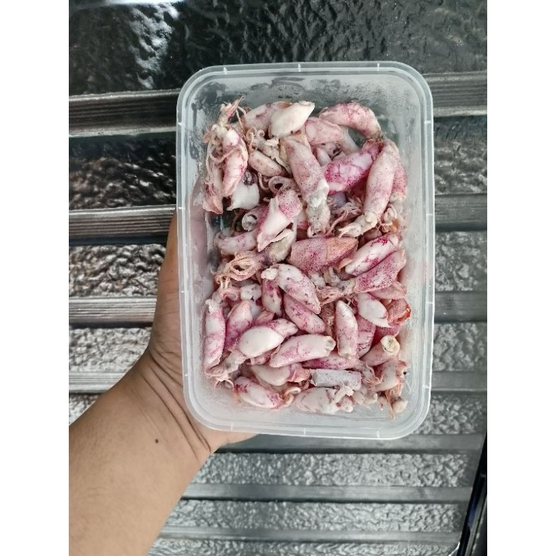 

IKAN SEGAR FROZEN SIAP KIRIM