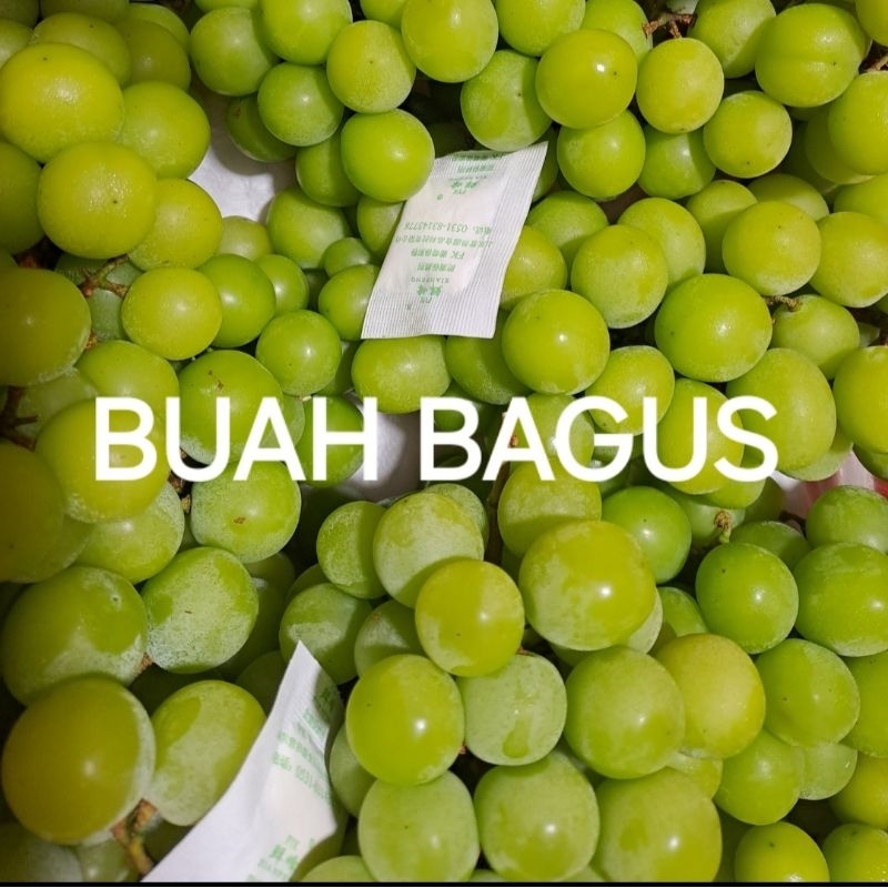 

Anggur Hijau Muscat 500gr