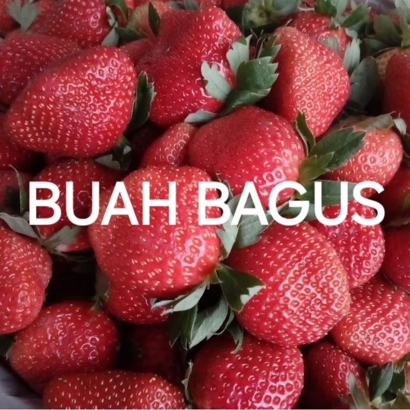 

Buah Strawberry 500gr