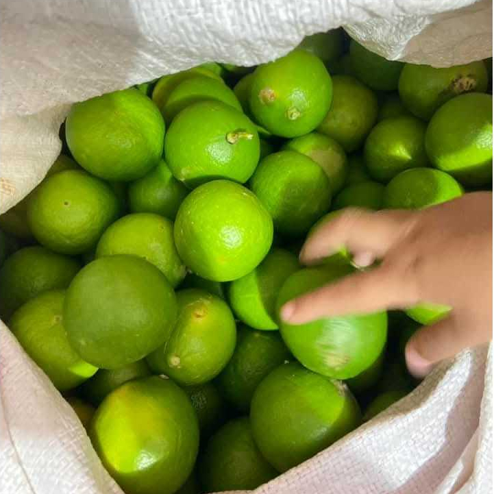 

1 KG JERUK NIPIS MURAH MERIAH