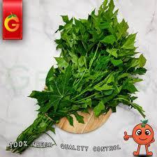 

Daun Pepaya 1 pack Segar Fresh Instan Surabaya