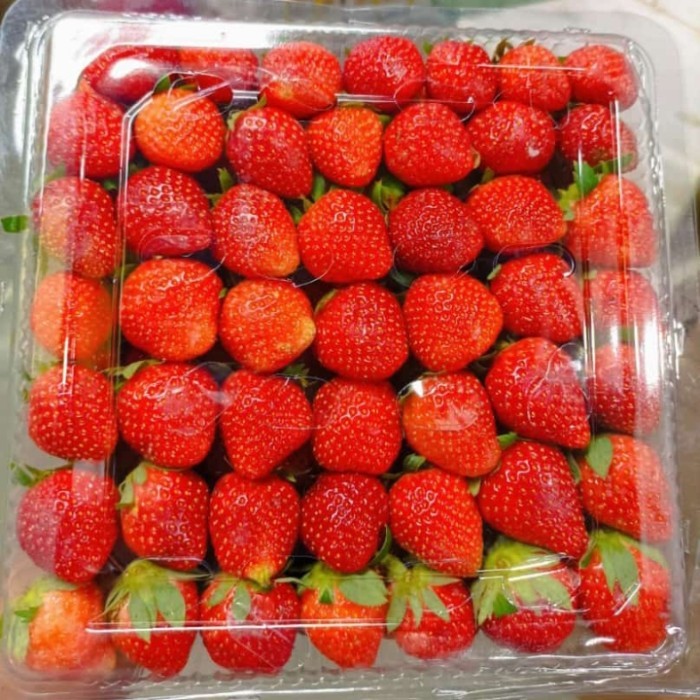 

Strawberry Fresh ±900gr - 1kg