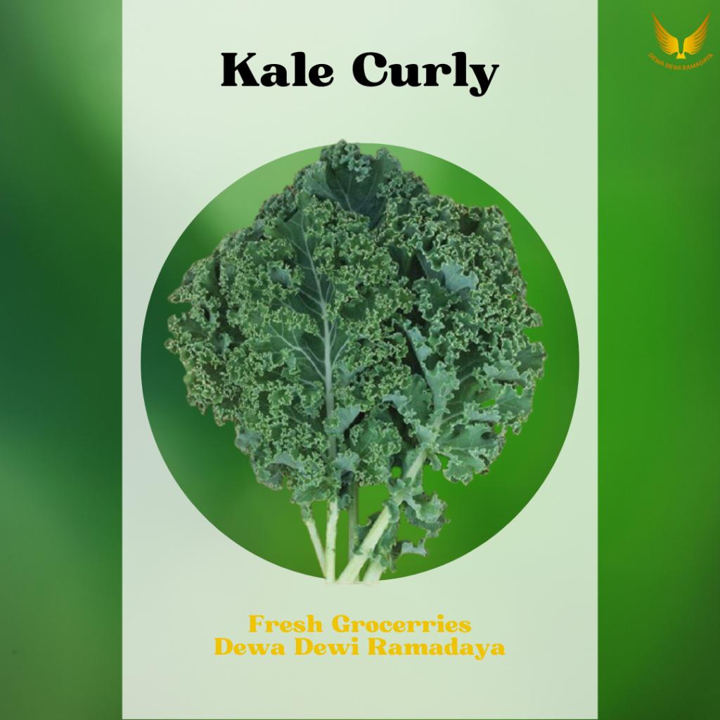 

Kale Curly Organik Dewa Dewi Rama Daya
