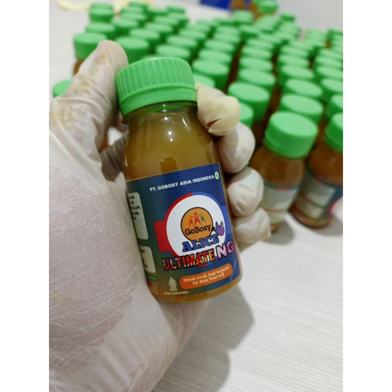

Herbal GoBosy ALice Ultimate NG Multi Manfaat Mengobati Segala Penyakit