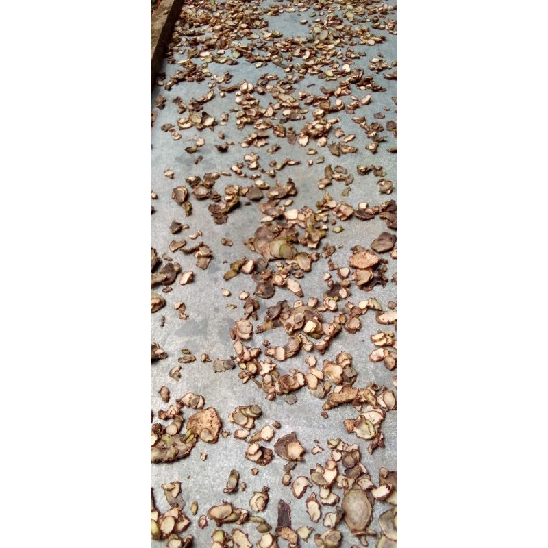 

katak / buah binahong