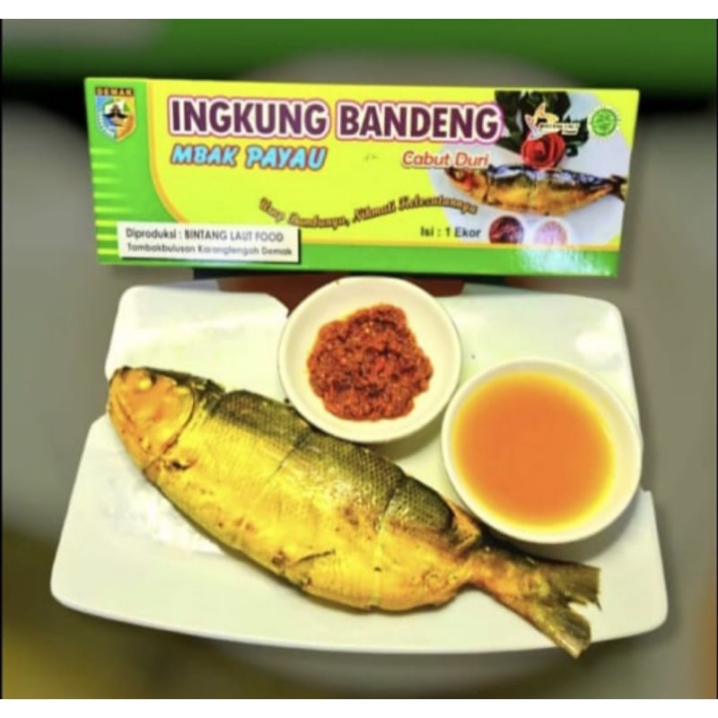 

INGKUNG BANDENG MBAK PAYAU Cabut Duri Ikan