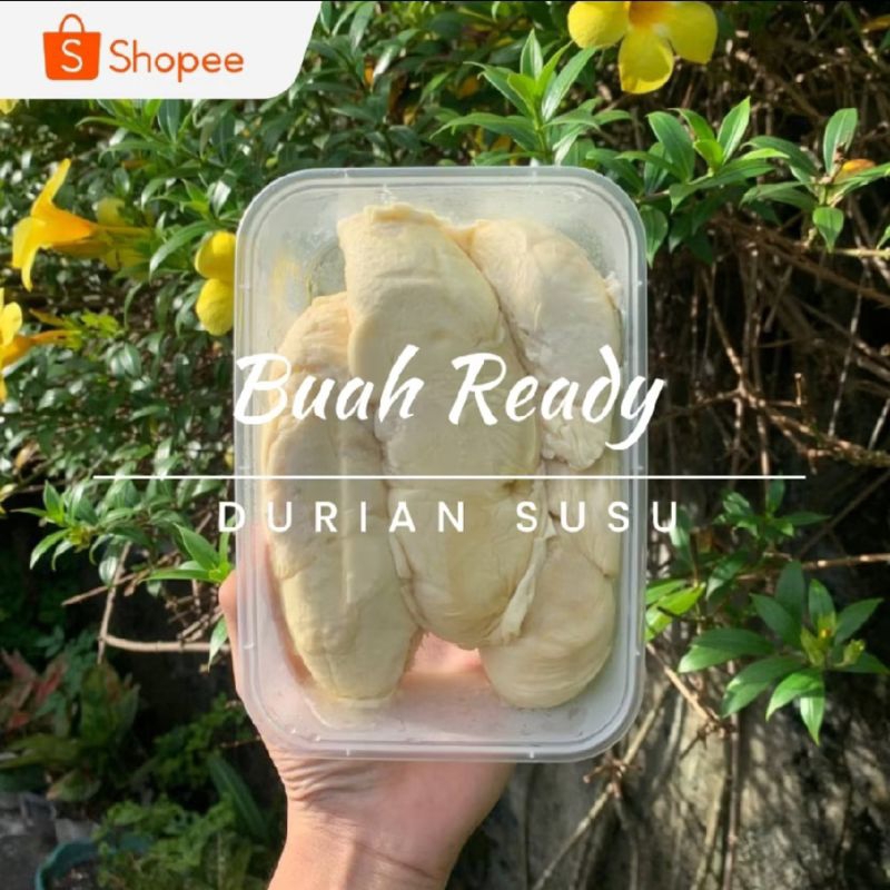 

DURIAN SUSU GRADE A - ISI 3 BOX - 500GR