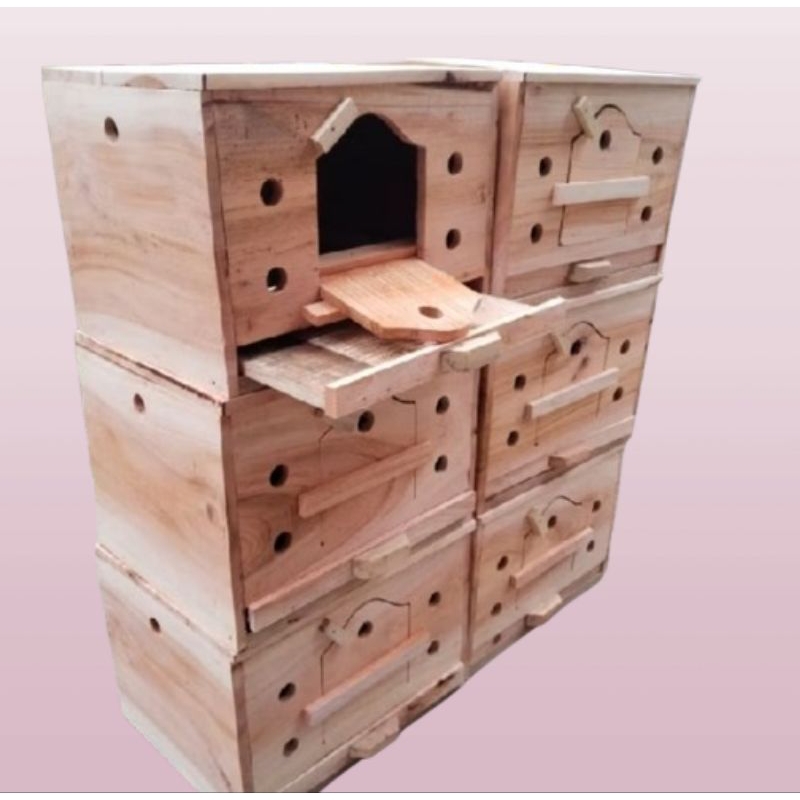 GUPON MERPATI MODEL SLOROK GUPON UKURAN SEDANG