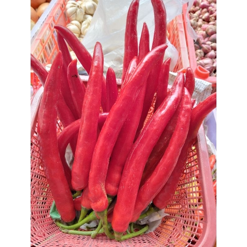 

Cabe Merah Besar Fresh