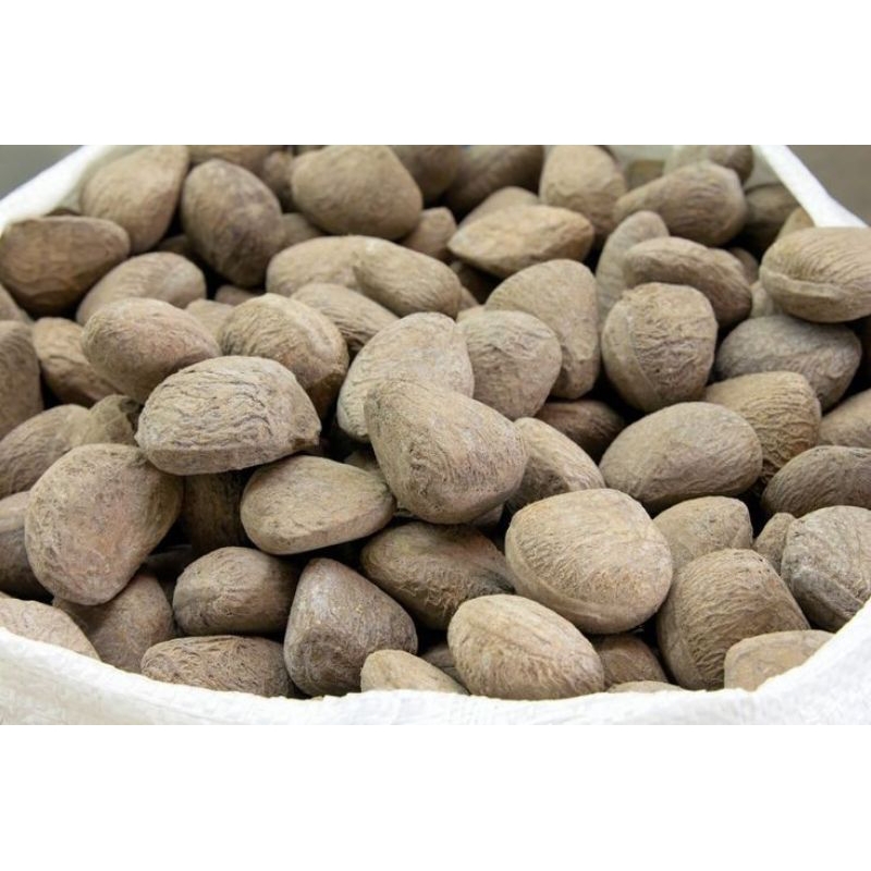 

PICUNG/KELEWEK/KELUAK FRESH SEGAR 1KG MENTAHAN