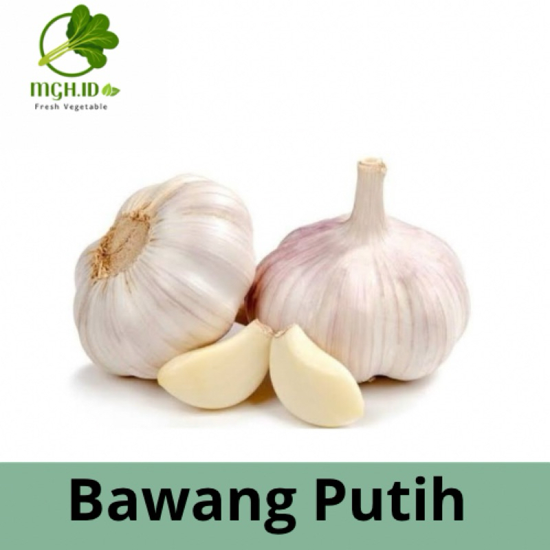 

[KIRIM INSTAN] Bawang Putih banci