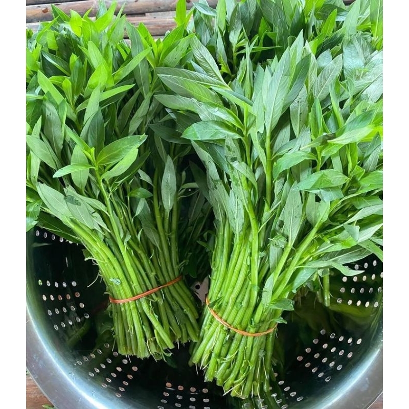 

sayur kangkung segarr per ikat,di ambil langsung bila ada orderan masuk