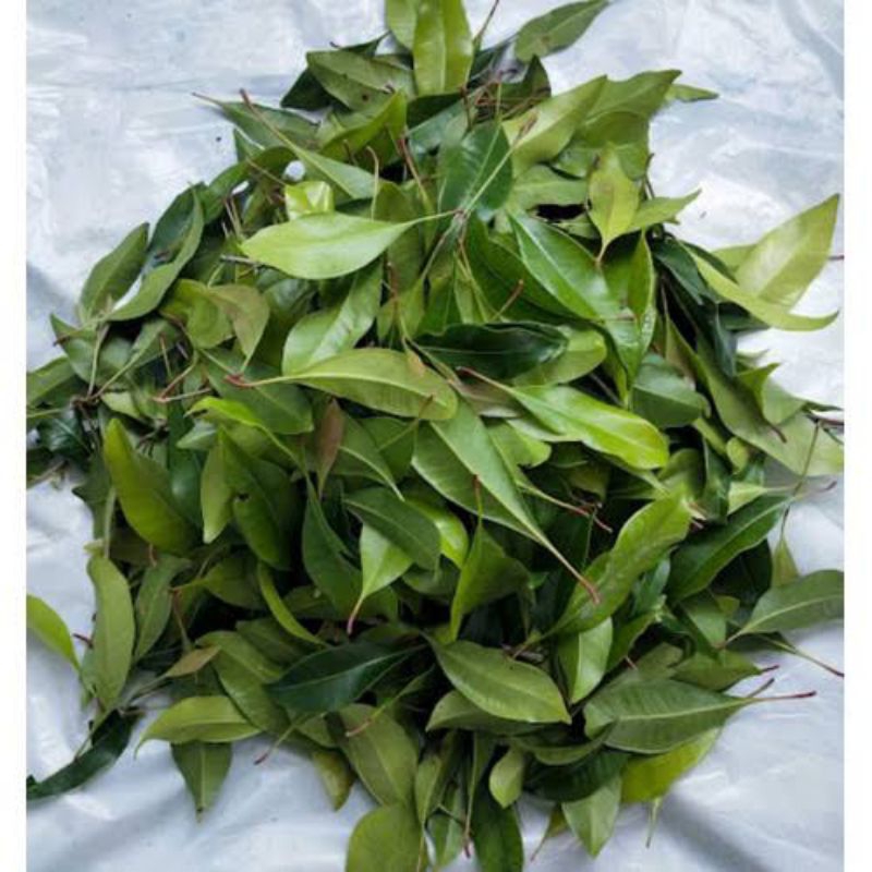 

Daun Cengkeh Segar 100 gram