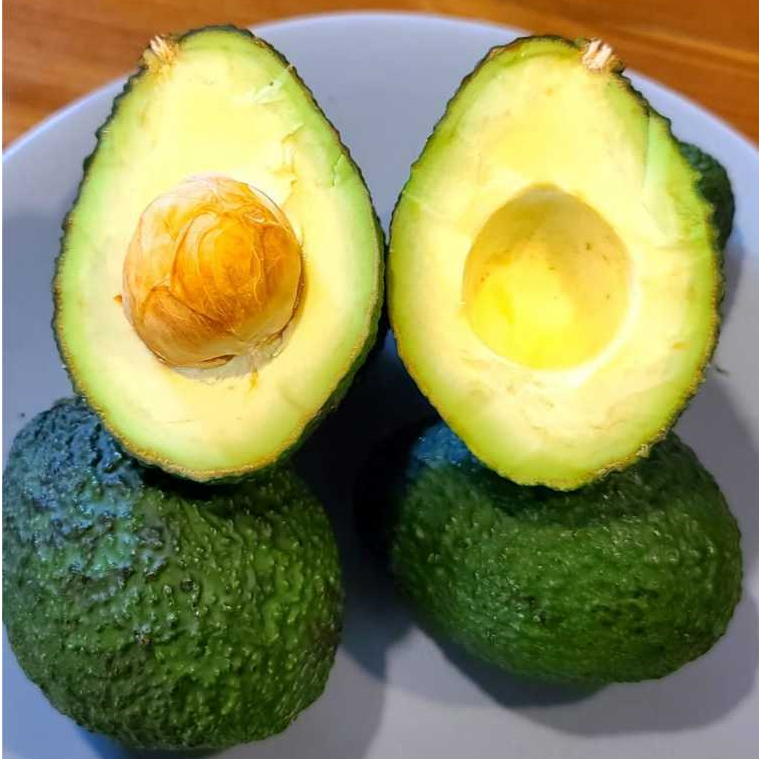 

Alpukat Hass Matang Pohon Langsung Panen Ready 16 Feb 2025 Freshly Picked Ripe Hass Avocado