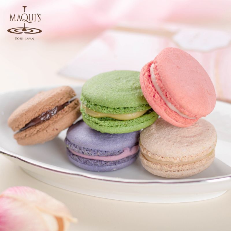 

Macaron Pcs - Maquis