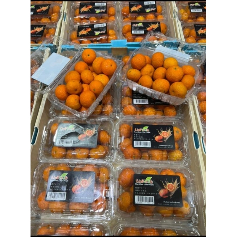 

buah Jeruk Santang madu atau Birma 1pck 750gr