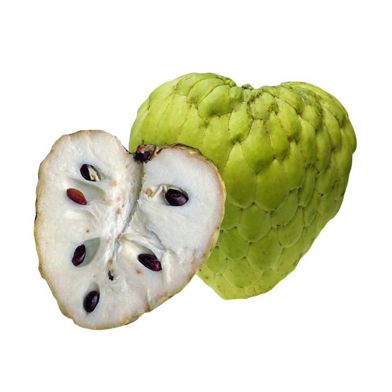 

DUTA BUAH SRIKAYA PREMIUM / PCS +- 450 - 500 GRAM