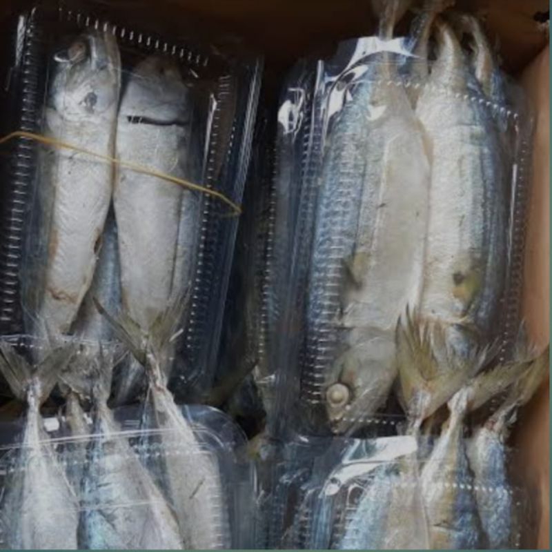 

Ikan Rebus Khas Medan