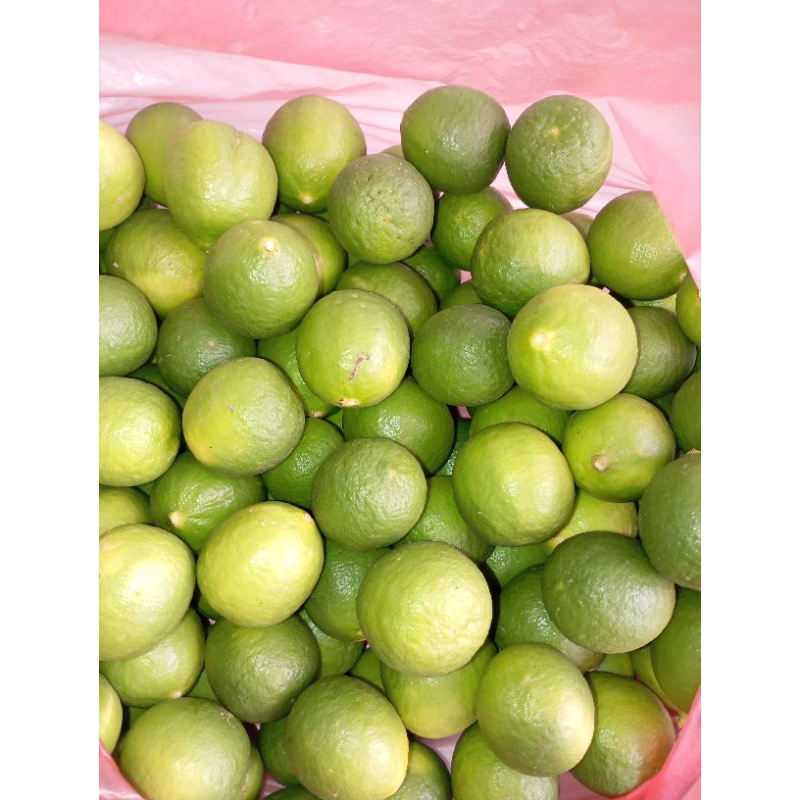 

Jeruk nipis fresh lokal ponorogo