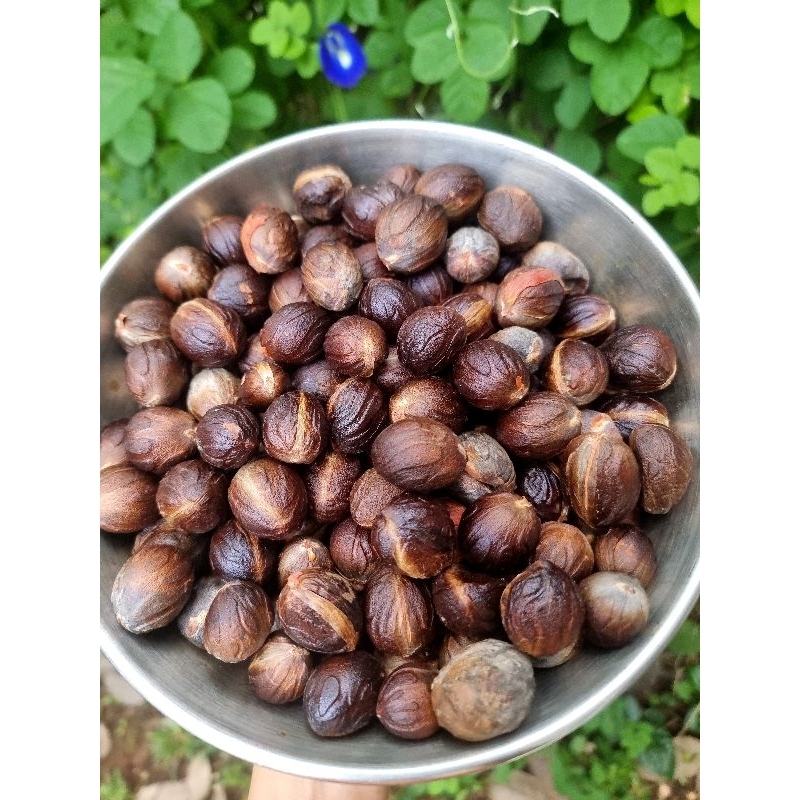 

Biji Pala kering Best Quality