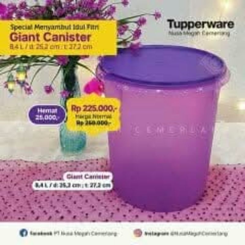 giant canister ungu tupperware