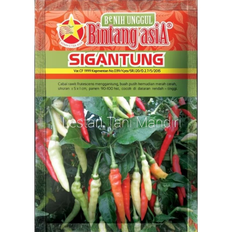 Benih Cabai Rawit SIGANTUNG