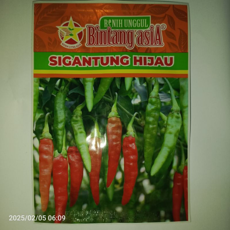 Benih Cabai Rawit SIGANTUNG HIJAU