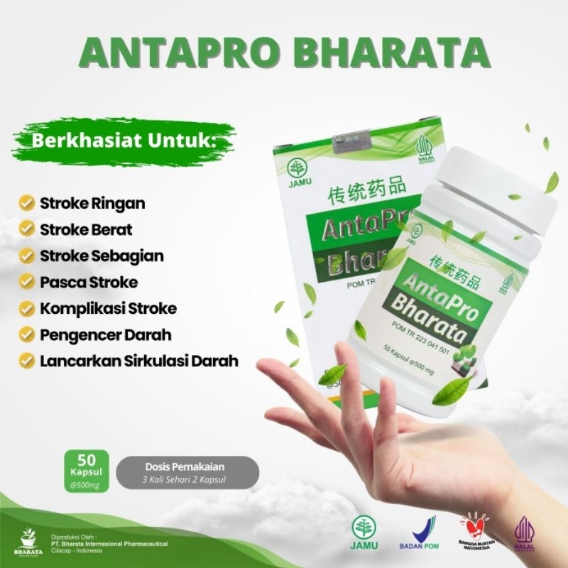 Obat Stroke Ampuh | Obat Stroke Terbaik | Obat Stroke Terlaris | Obat Herbal Untuk Stroke | Obat Str