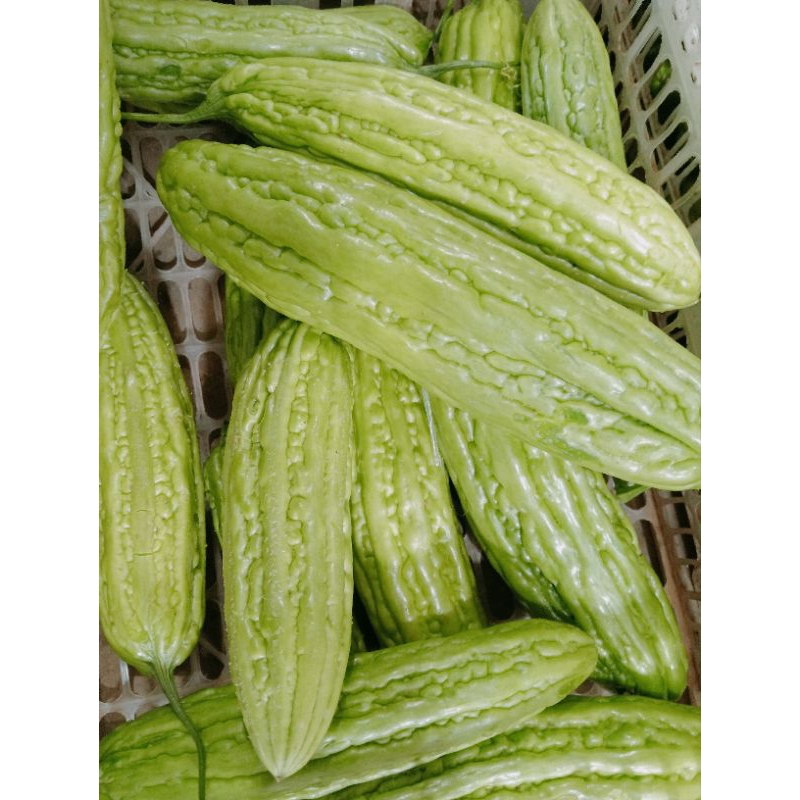 

Sayur pare segar(500g)