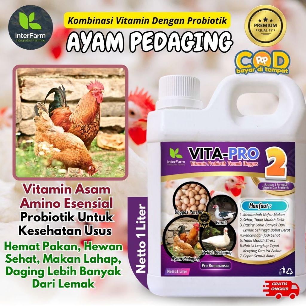 Vitamin Ayam Cepat Besar, Pakan Ayam Kampung Cepat Besar, Vitamin Ayam Pedaging INTERFARM