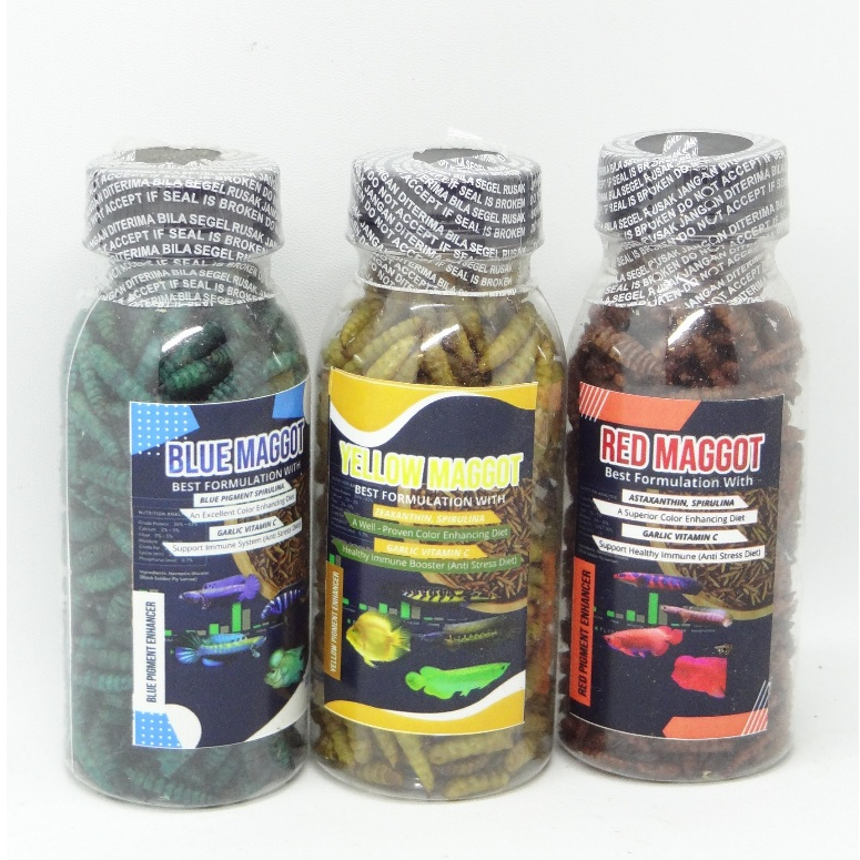Kemasan botol Maggot BLUE/YELLOW/RED