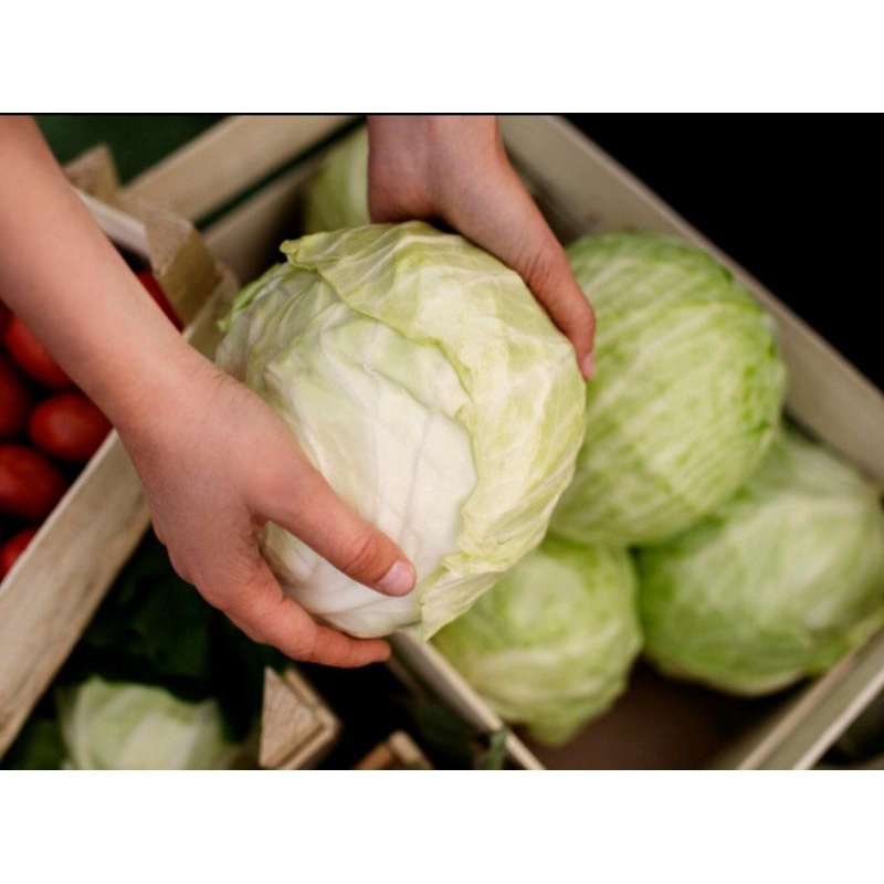 

sayur col 6rb per 1kg. gubis