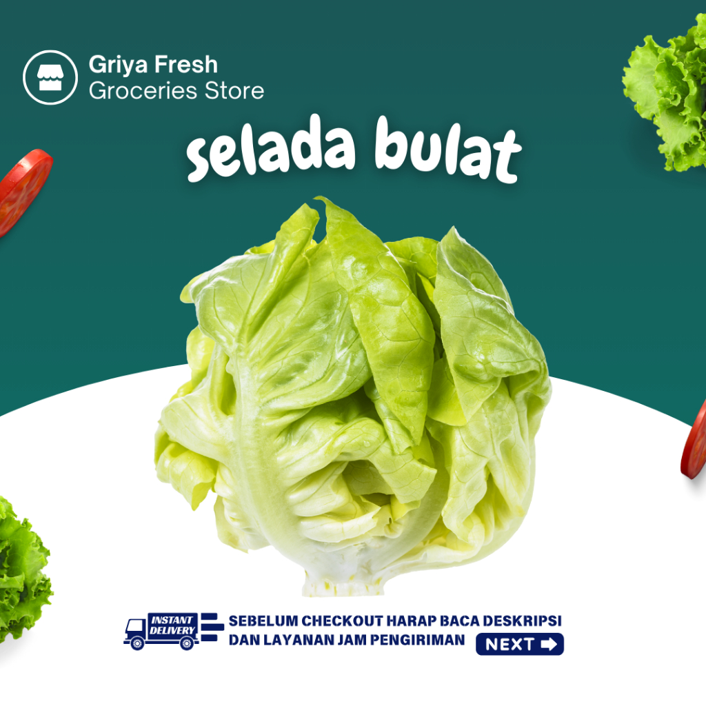 

Selada Bulat Fresh 250 gr - Kirim Instant