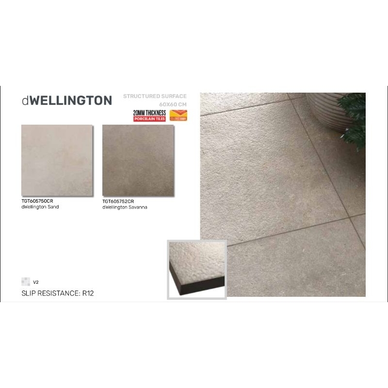 Roman Granit dWellington 60x60 surface matt structured granit untuk lantai outdoor carport garasi te