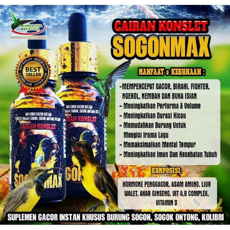 Sogon max