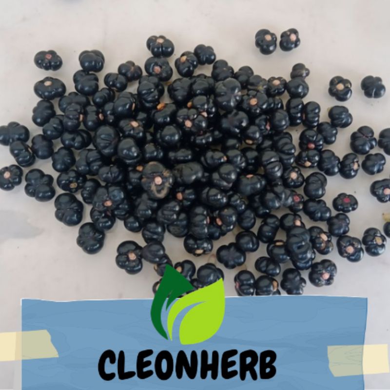 

Buah herbal Binahong/Angkung 200pcs