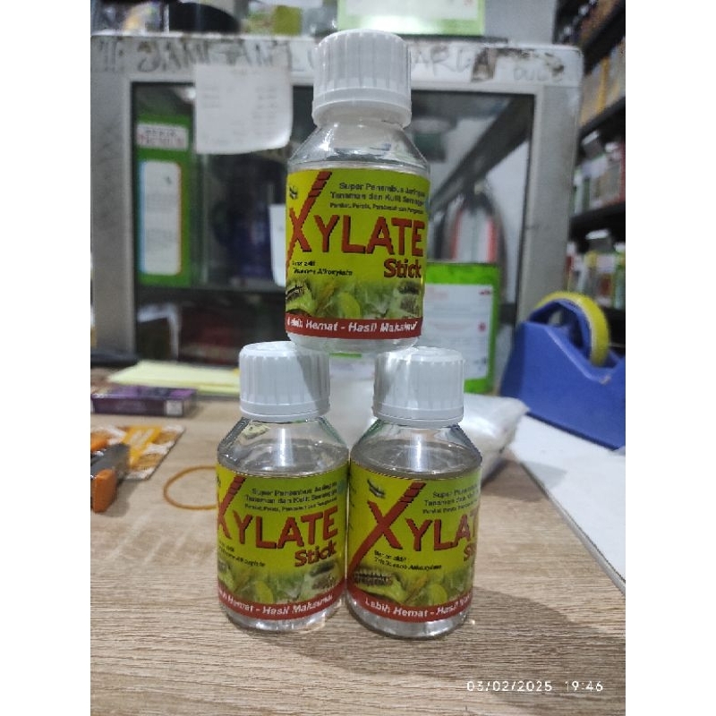 XYLATE stik 100ml perekat, perata, pembasah dan pengemulsi