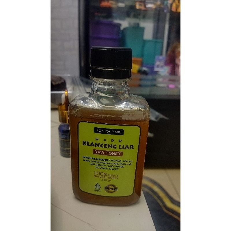 

madu Trigona klanceng liar