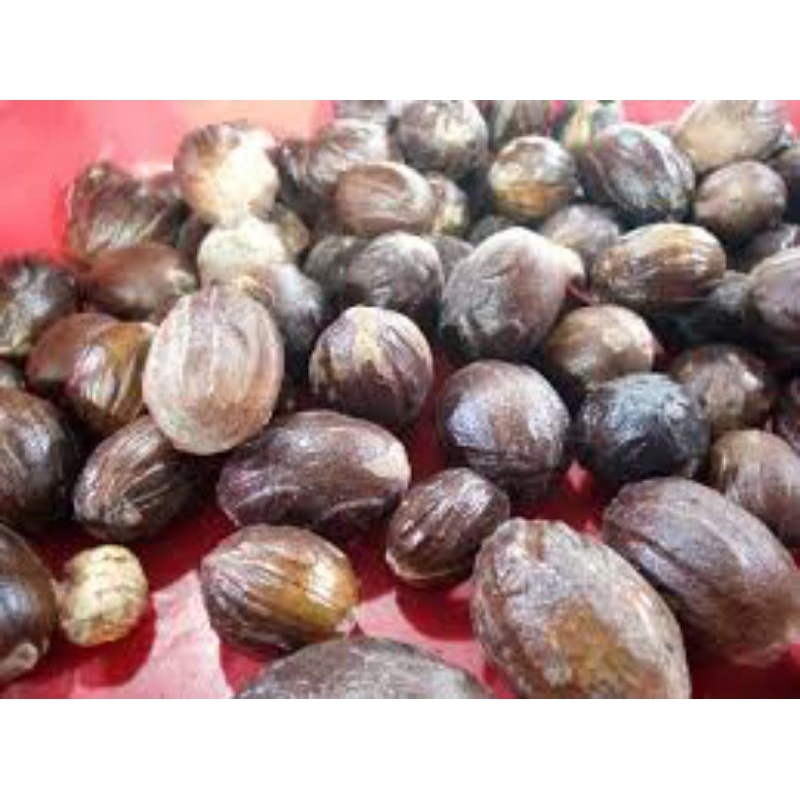 

Buah pala kering buah pala tua