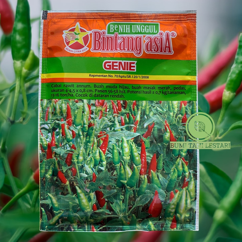 Benih Cabai Rawit GENIE 10gr | Benih Cabe Rawit GENIE Bintang Asia