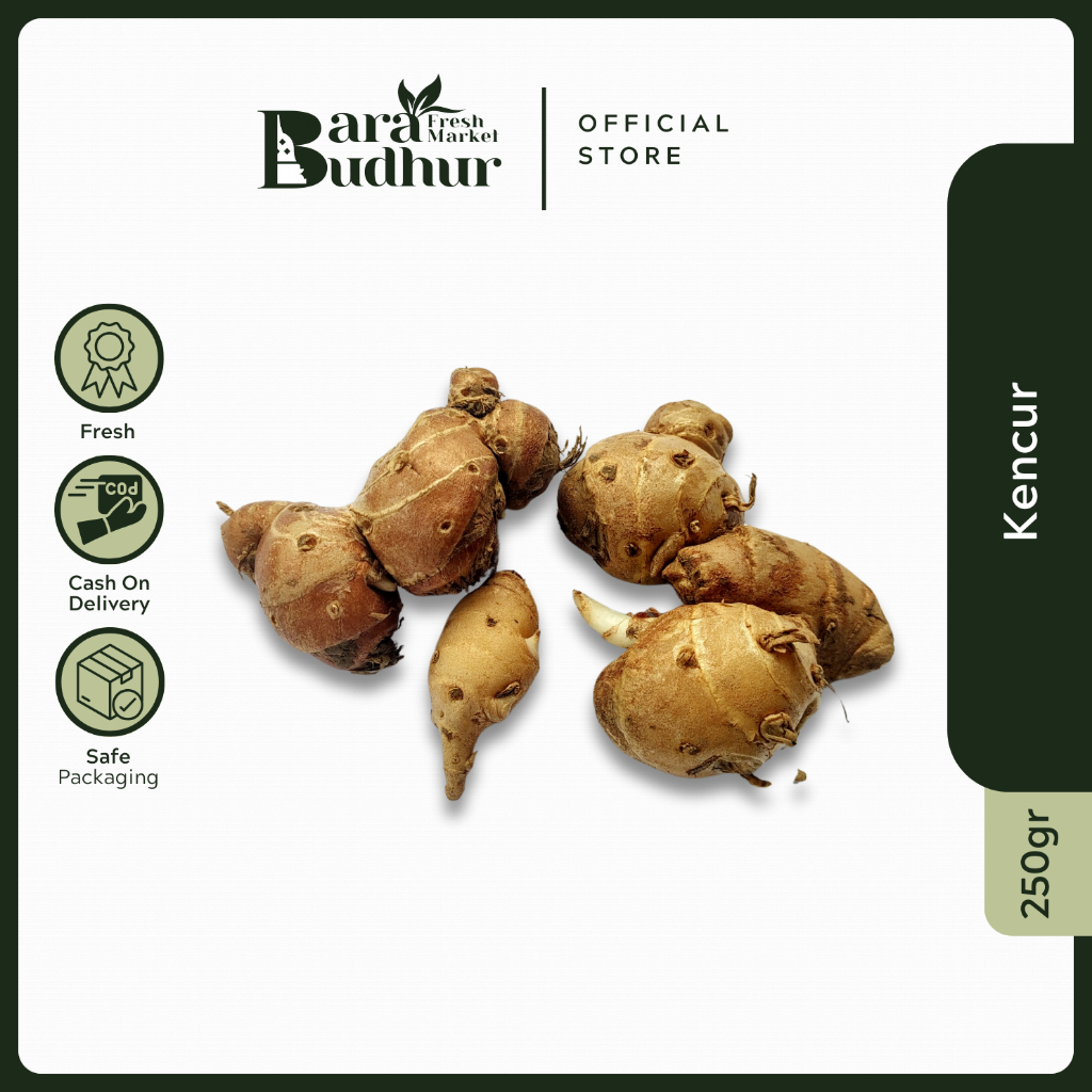

Kencur Segar 100 250 gr Fresh Bersih