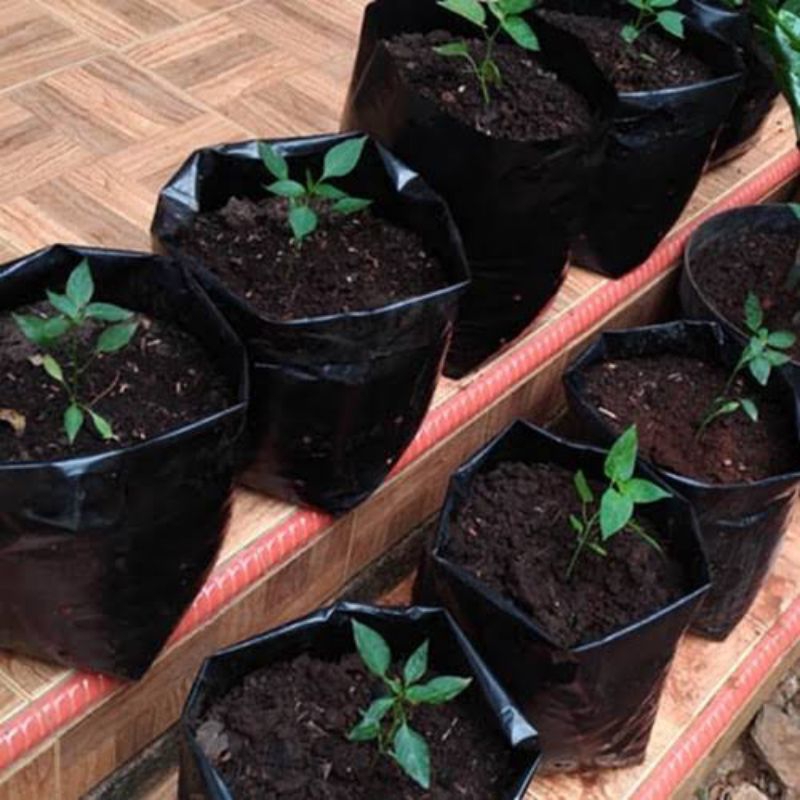 Polybag eceran 35x35 isi 10 pcs - Polybag 35x35 isi 10 pcs