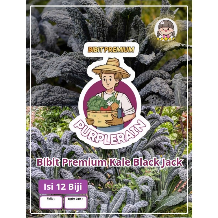 Bibit Premium Kale Black Jack | Biji Benih Kale Black Magic|Biji Bibit Dinosaurus Kale|Bibit Kale