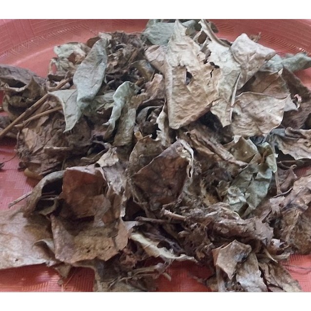 

Daun Sirih Kering Alami / Daun Seureuh Kering / Natural Dried Betel Leaves