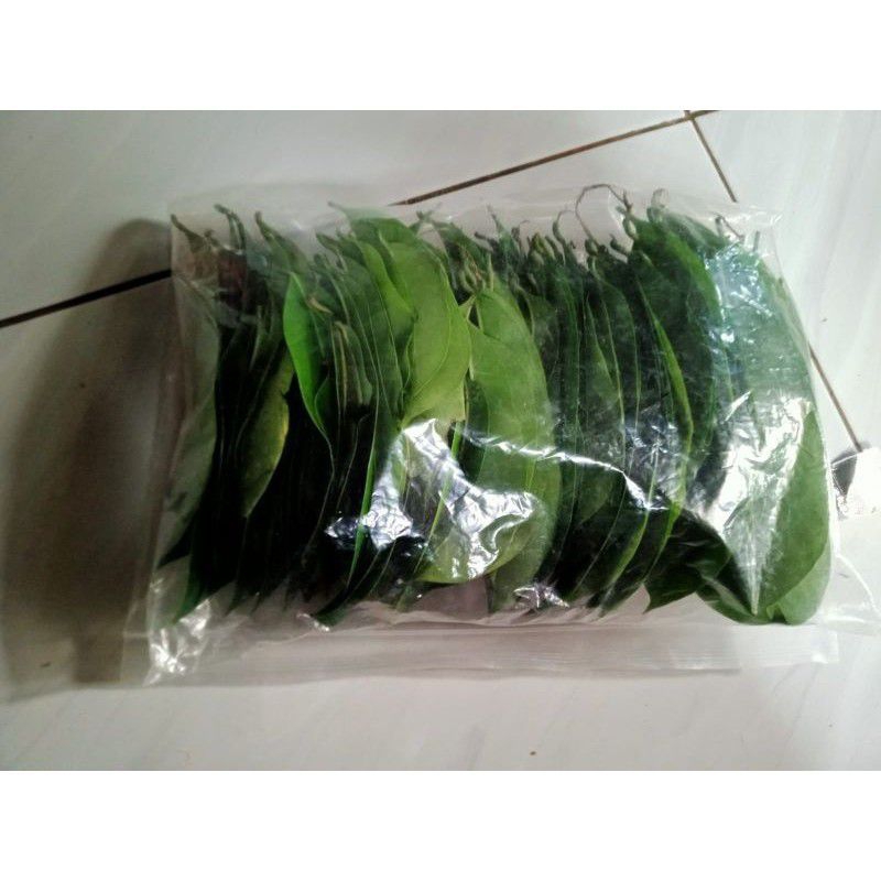

daun sirsak ori100 lembar herbal segar