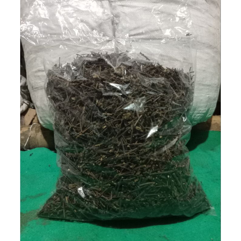 

BAHAN CINCAU HITAM