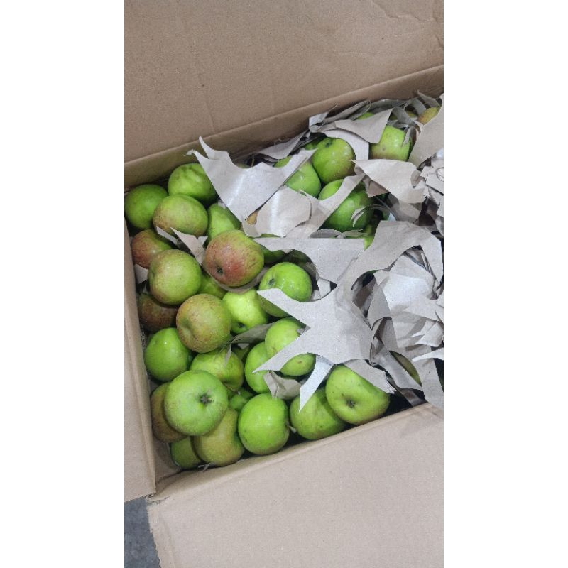 Apel Malang Oleh oleh khas Kota Batu Malang / Apel Hijau Lokal / Apel Romebeauty