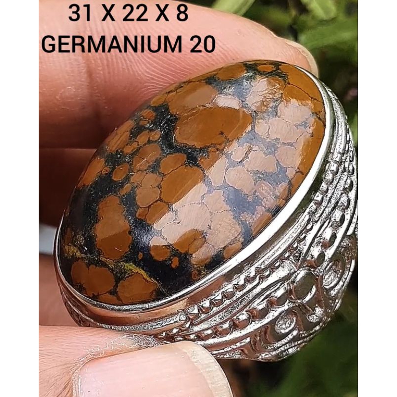 natural pirus Hubei coklat ceplok kuro